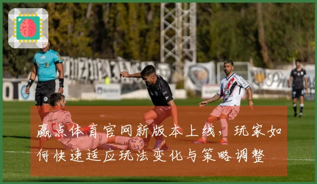 赢点体育官网新版本上线，玩家如何快速适应玩法变化与策略调整