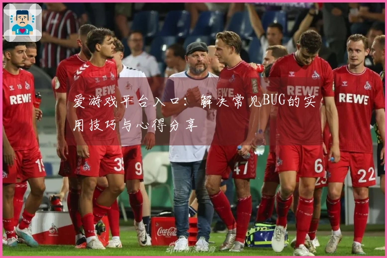 爱游戏平台入口：解决常见BUG的实用技巧与心得分享
