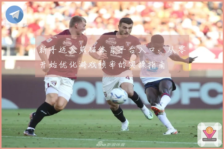 新手迈入熊猫体育平台入口，从零开始优化游戏帧率的实操指南