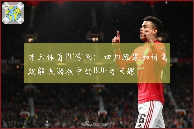 开云体育PC官网：回归玩家如何高效解决游戏中的BUG与问题
