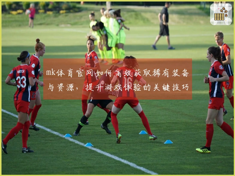mk体育官网如何高效获取稀有装备与资源，提升游戏体验的关键技巧