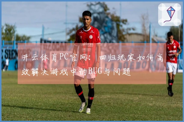 开云体育PC官网：回归玩家如何高效解决游戏中的BUG与问题