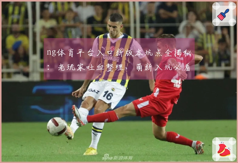 ng体育平台入口新版本坑点全揭秘：老玩家吐血整理，萌新入坑必看避雷宝典